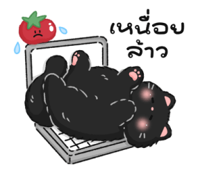 Tomato cat : Daily words รูปที่ 20