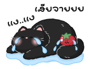 Tomato cat : Daily words รูปที่ 22
