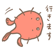 826270864