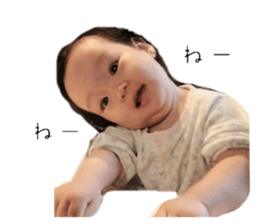 826276664