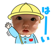 826306260