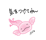 826307916