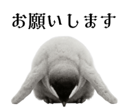 826315210