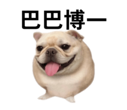 826319300