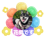 826326140