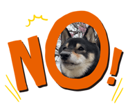 826326148