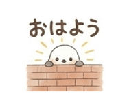 826336289