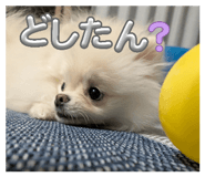 826336746