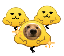 826354275