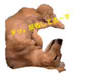 826356601