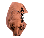 826356606