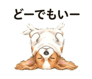826377089