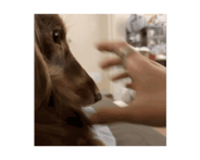 826378660