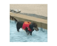826378662