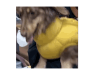 826378670
