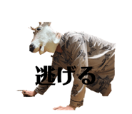 826387500