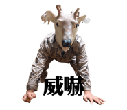 826387503