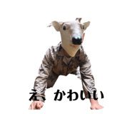 826387504