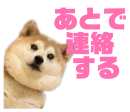 826392574