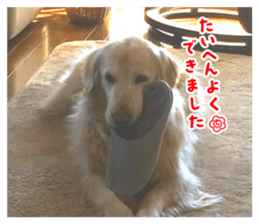 826433575