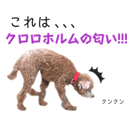 826440301