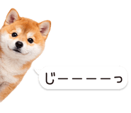 826440409