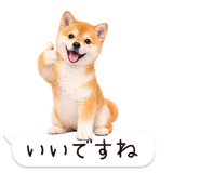 826440410