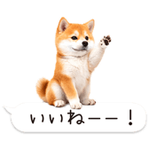 826440411