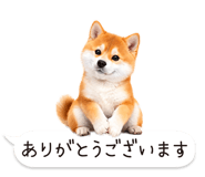 826440412