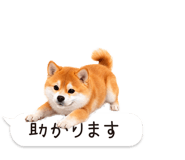 826440414
