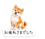 826440416