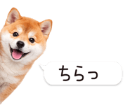 826440417