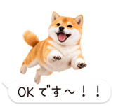 826440420
