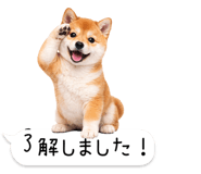 826440421