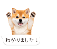 826440422