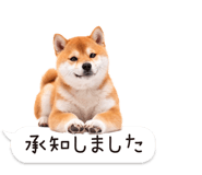 826440423