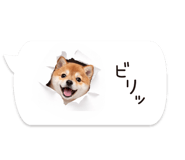 826440424