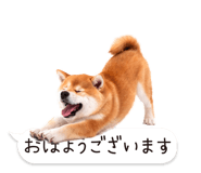 826440425