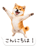 826440426