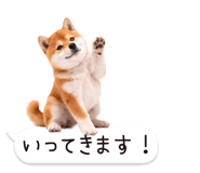 826440428