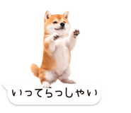 826440429