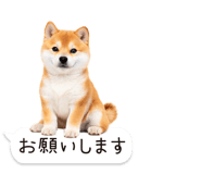 826440430