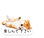 826440432
