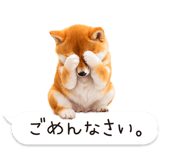 826440436