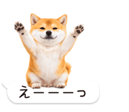 826440438