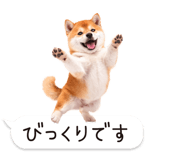 826440439