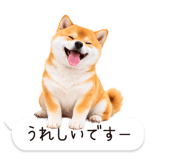 826440440