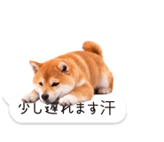 826440442