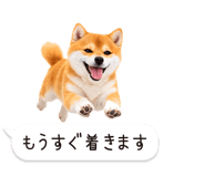 826440443