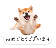 826440444
